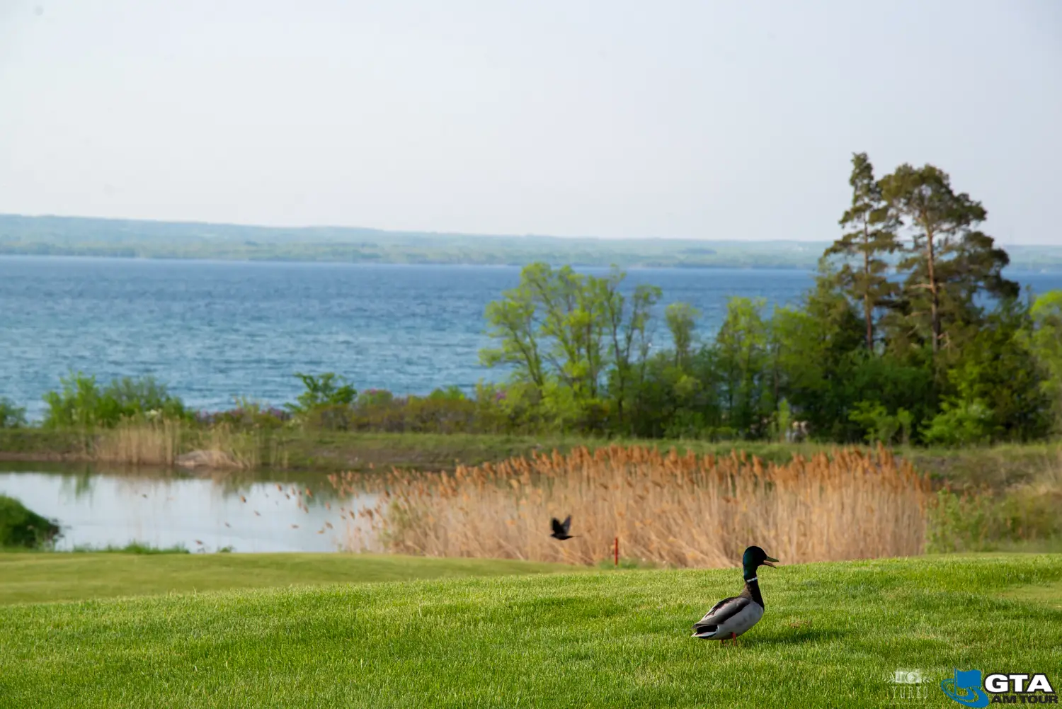 Cobble Beach - Venues - Toronto, Ontario (photo 2)