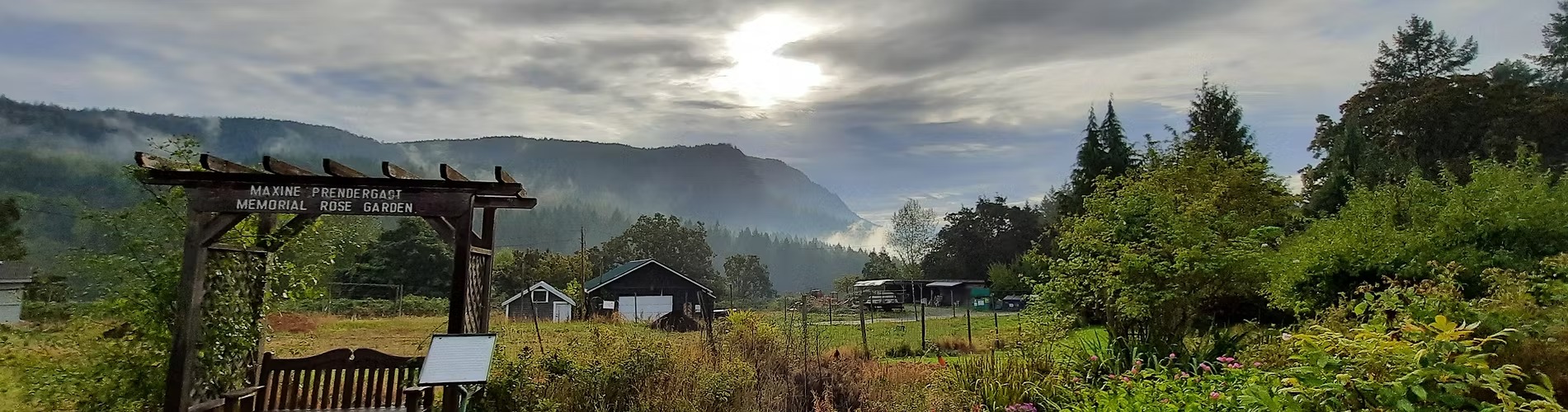 Providence Farm