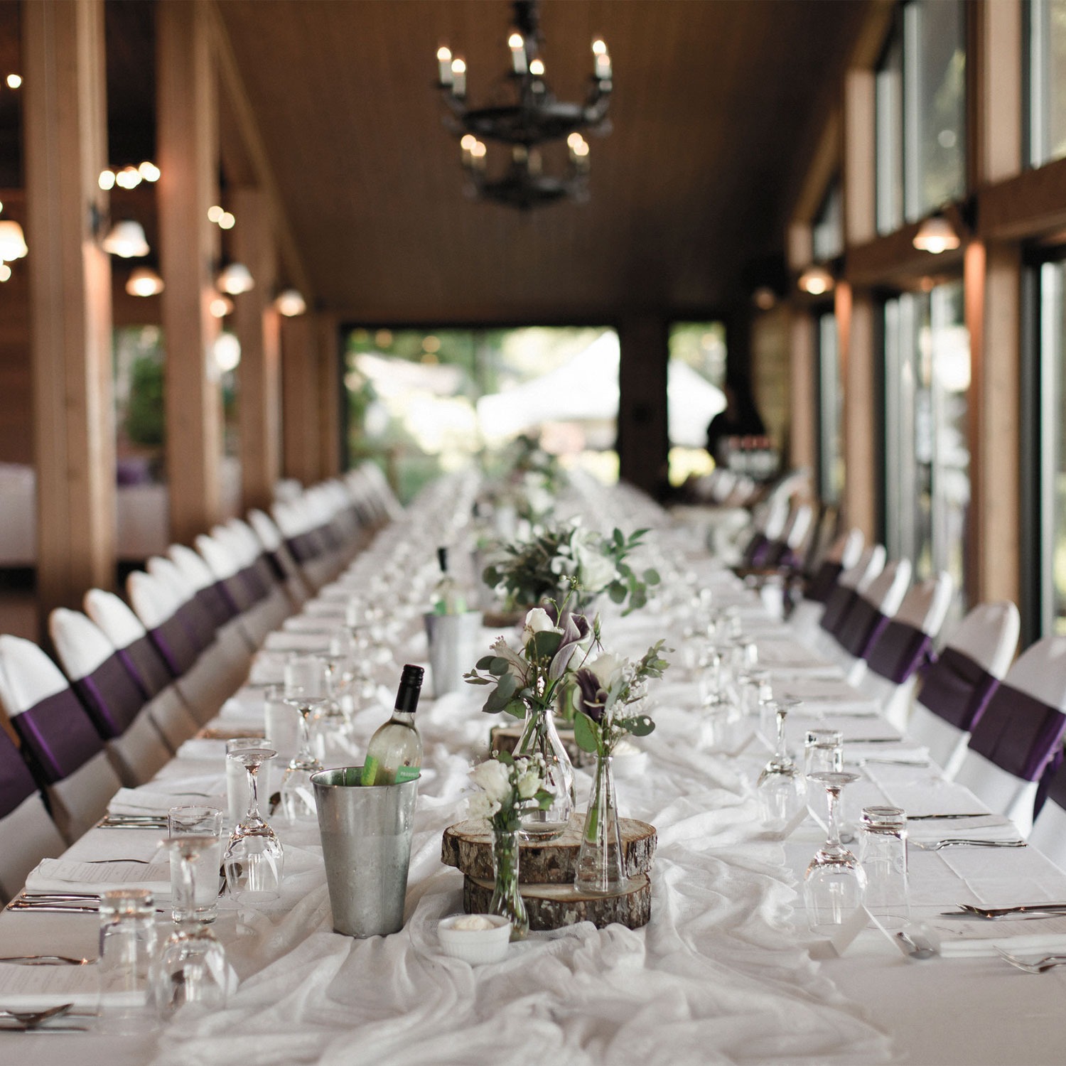 Dolphin Resort Weddings