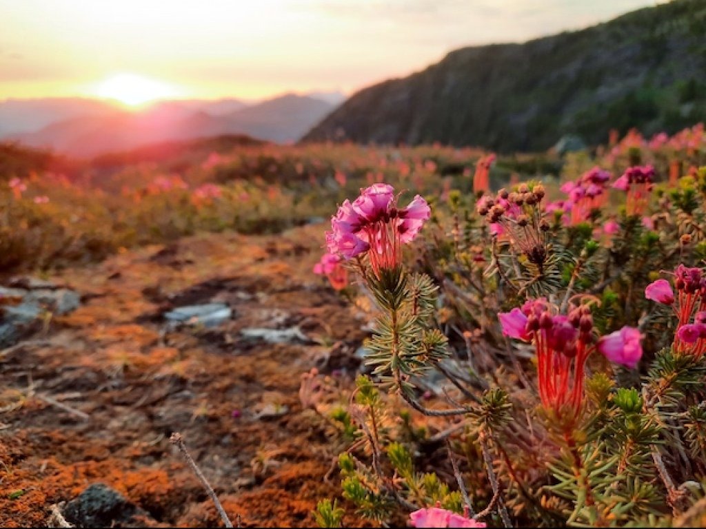 Strathcona Park Lodge