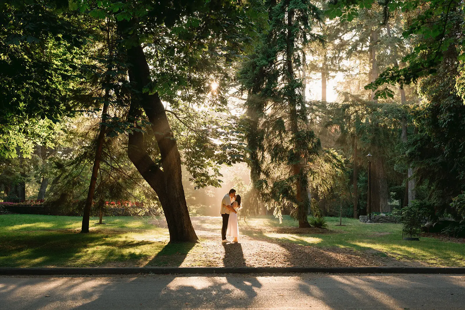 Aly Sibley Photography