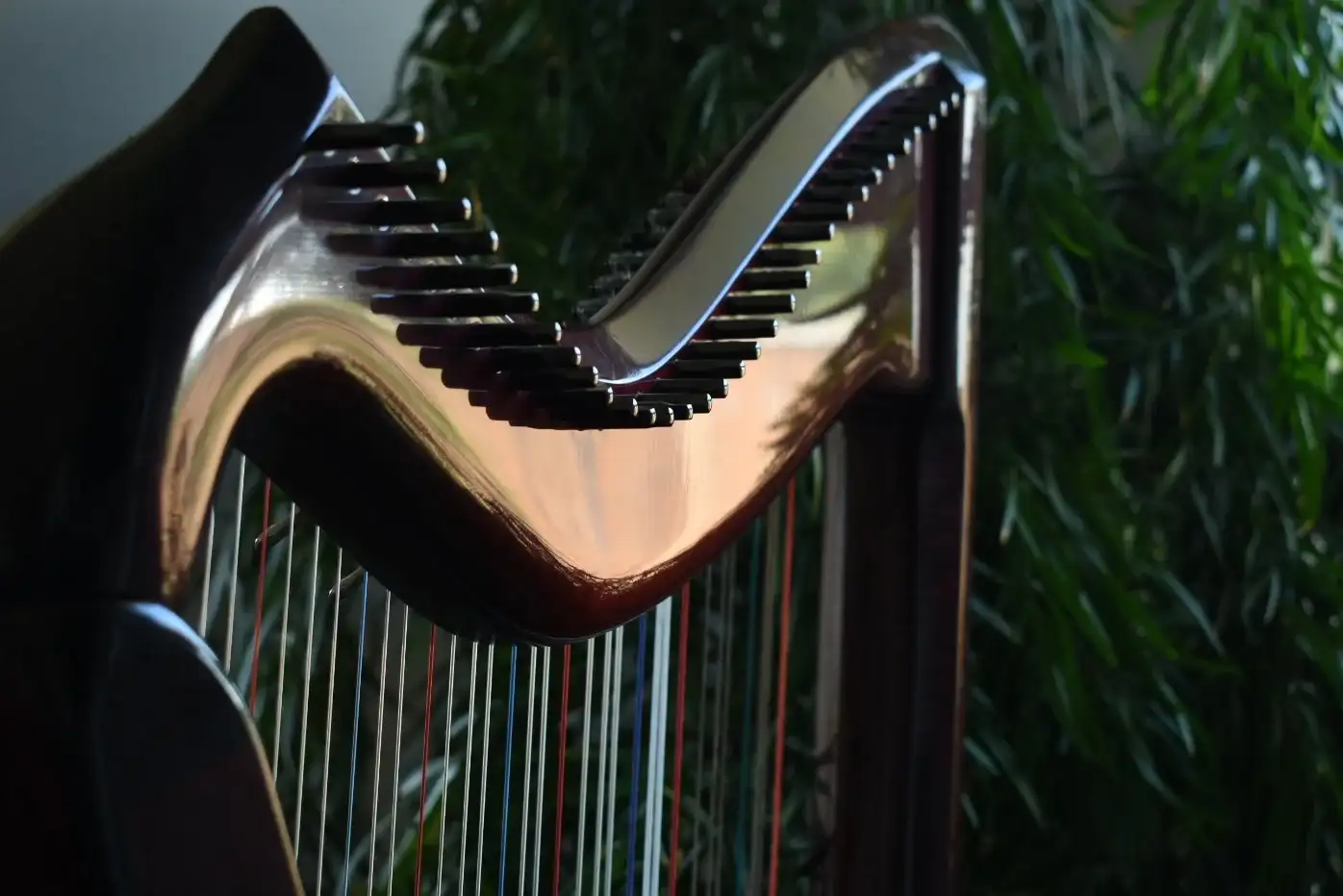 Heartstrings Harp — Entertainment / DJ — Nanaimo, Vancouver Island (photo 2)