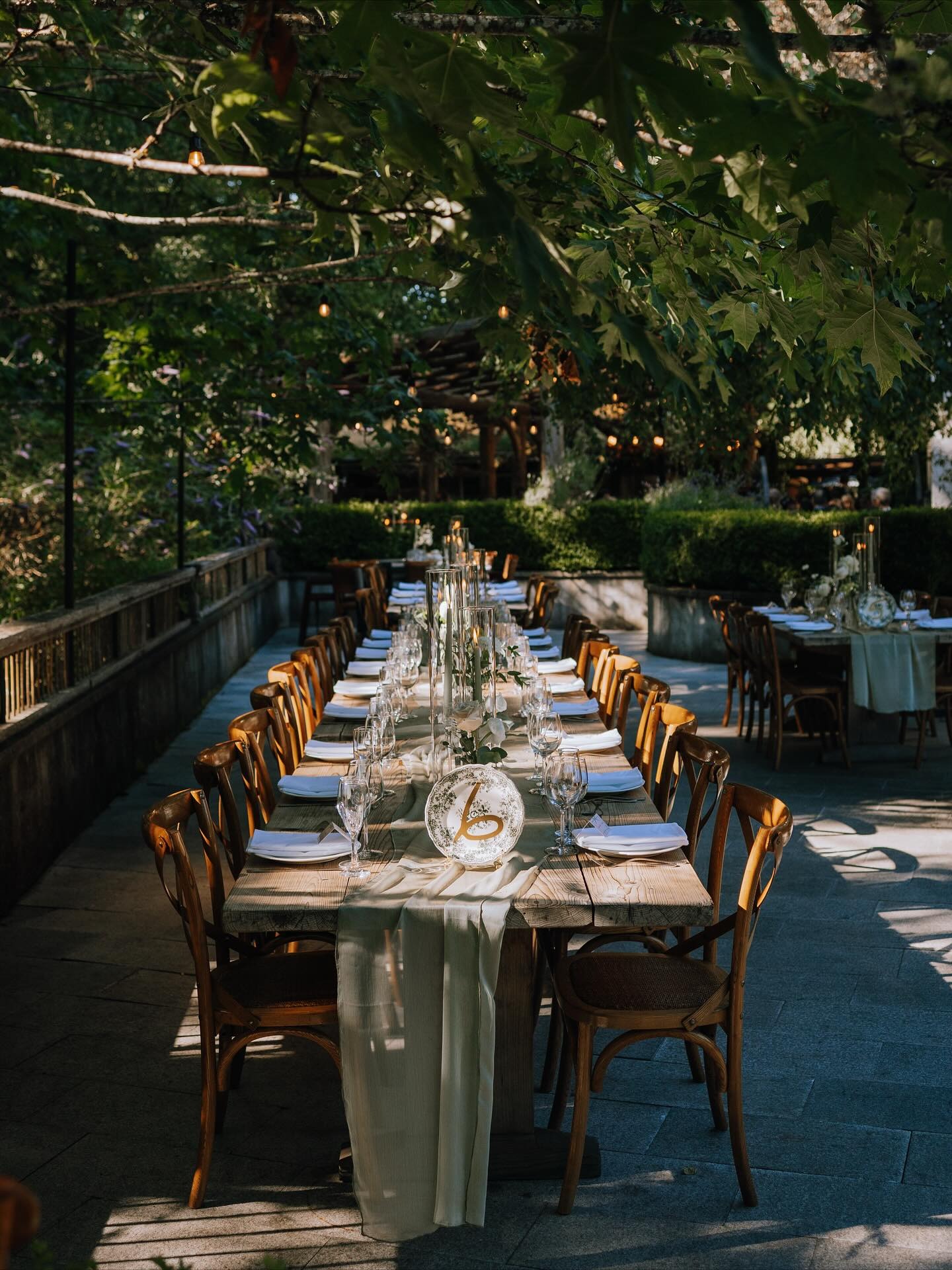 Amber James Photography