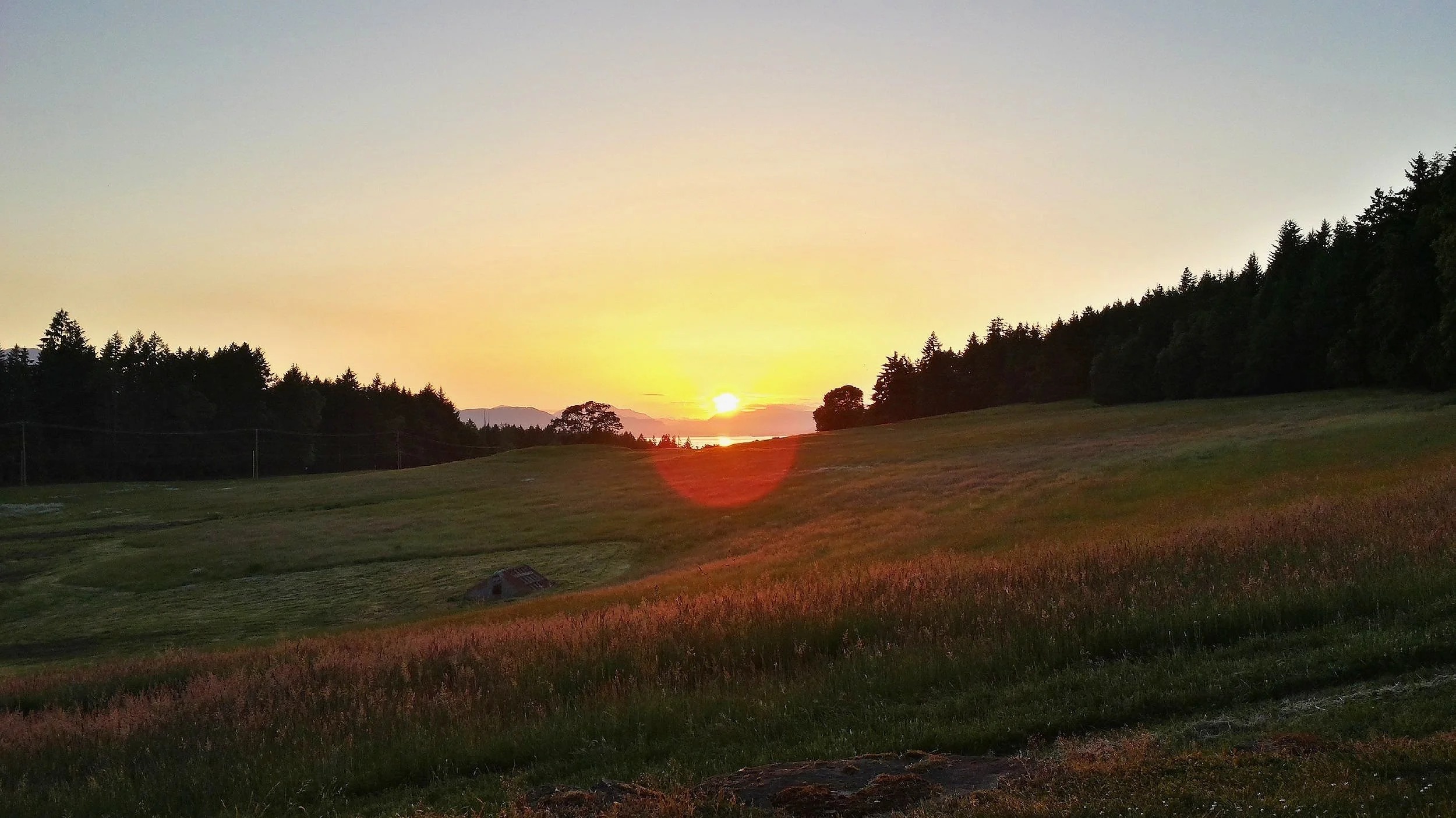 Stone Bridge Island Farm