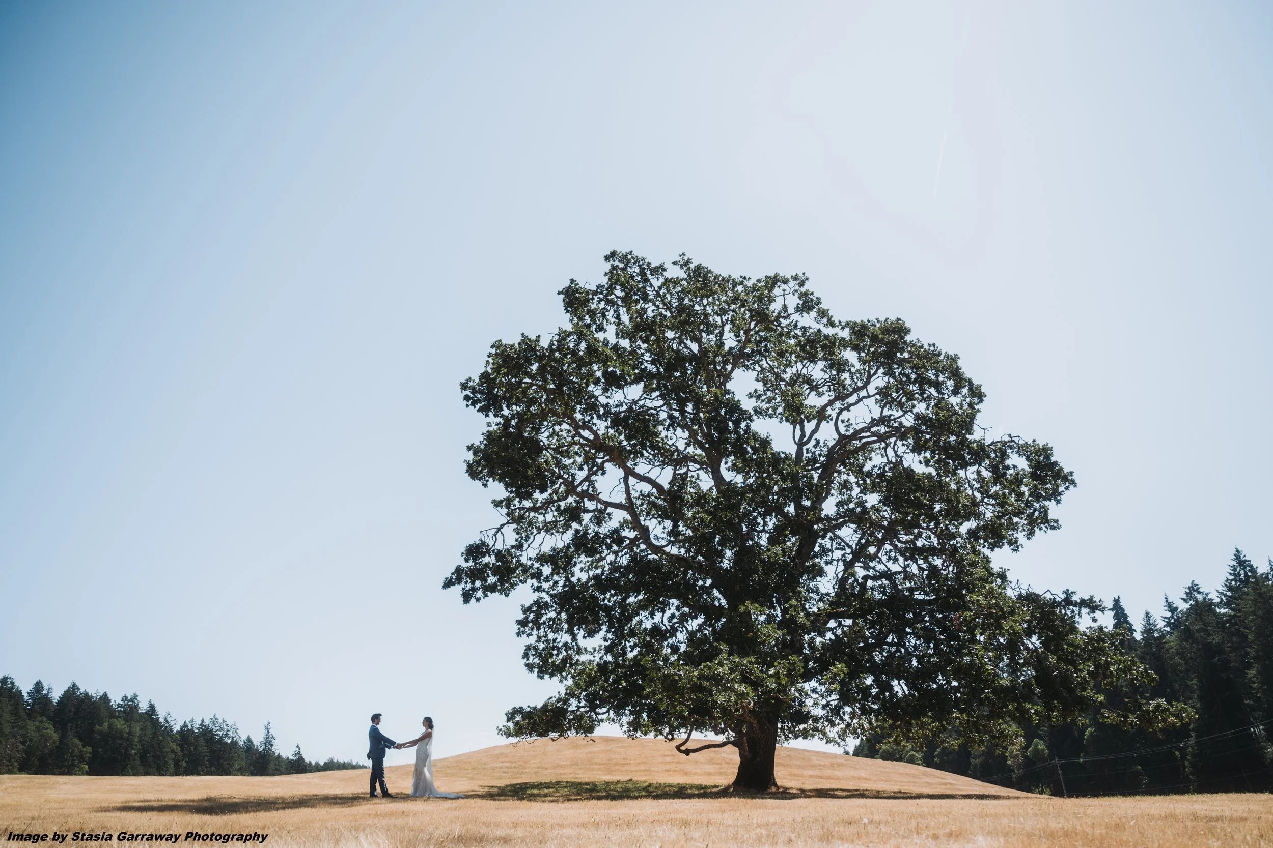 Stone Bridge Island Farm