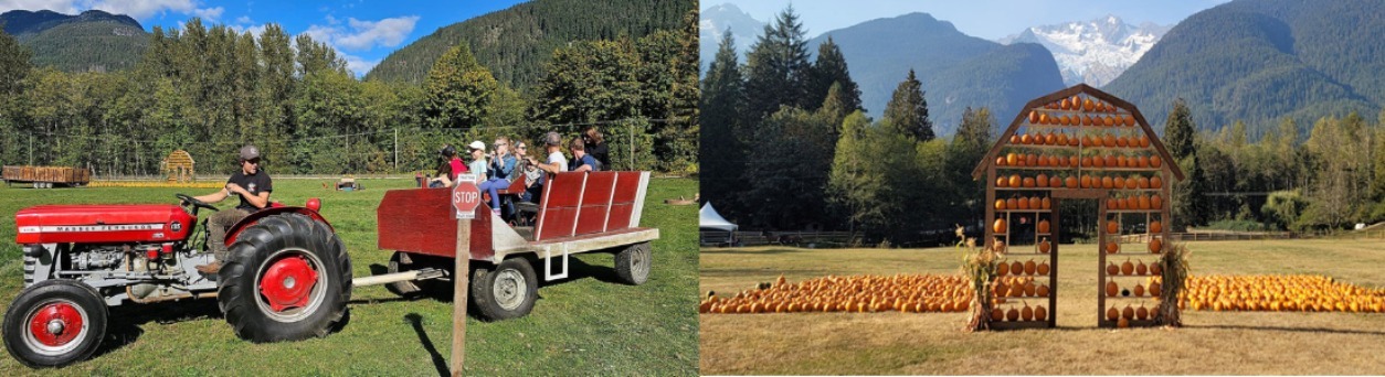 Glacier Valley Farm — Venues — Squamish, Vancouver Island (photo 3)