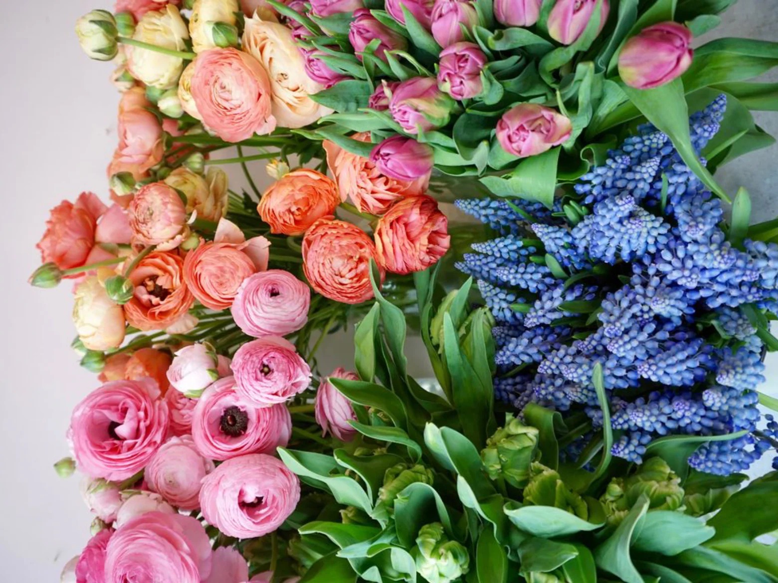 The Granville Island Florist — Florists — Langley, Vancouver Island (photo 1)
