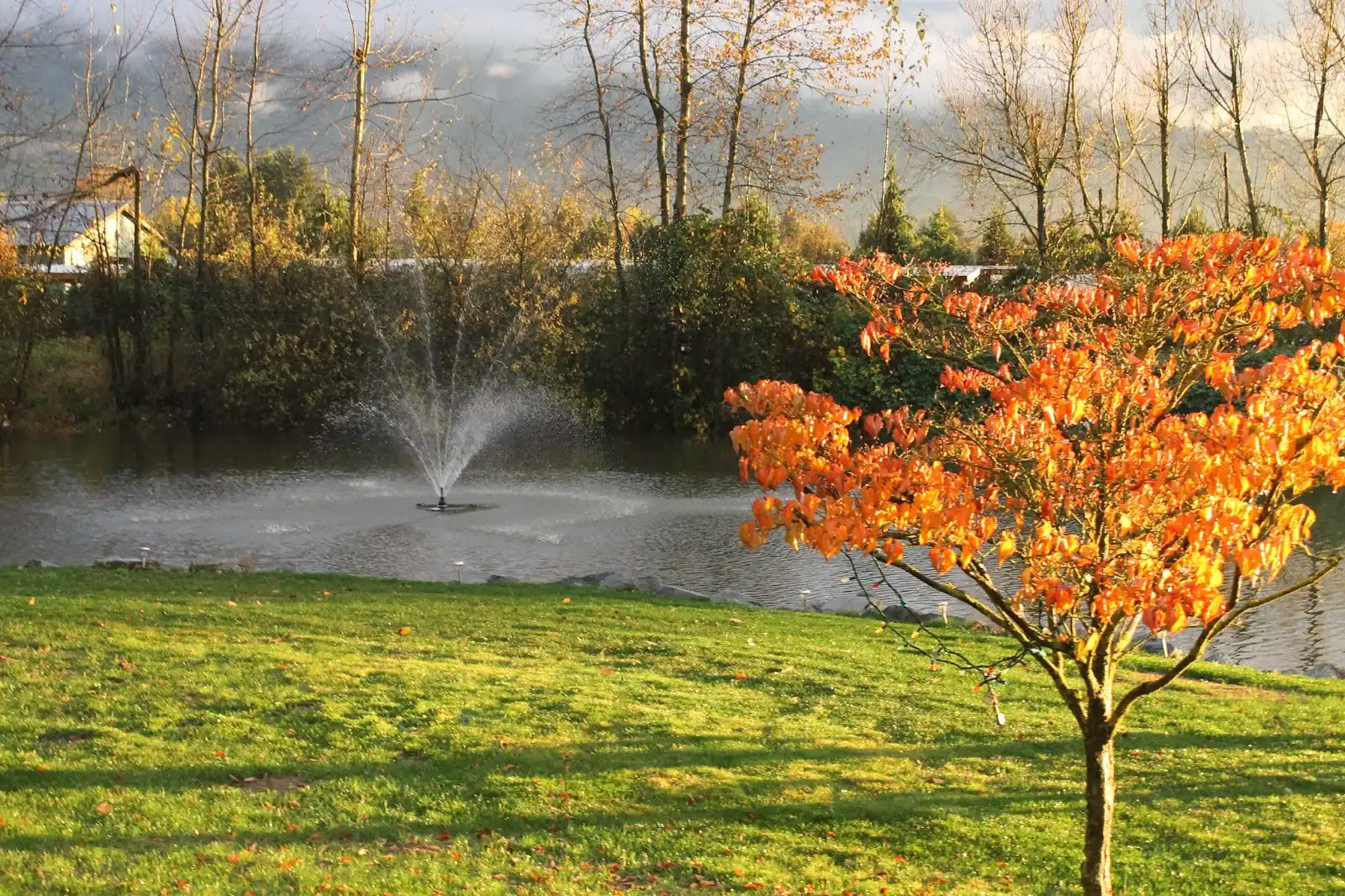 Shelbys Pond Wedding Venue — Venues — Chilliwack, Vancouver Island (photo 1)