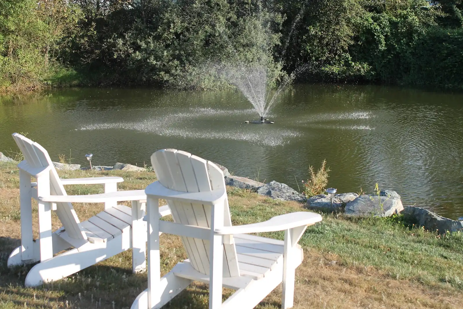 Shelbys Pond Wedding Venue — Venues — Chilliwack, Vancouver Island (photo 2)