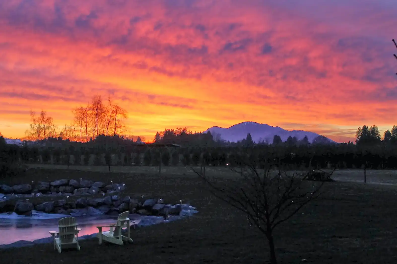 Shelbys Pond Wedding Venue — Venues — Chilliwack, Vancouver Island (photo 15)