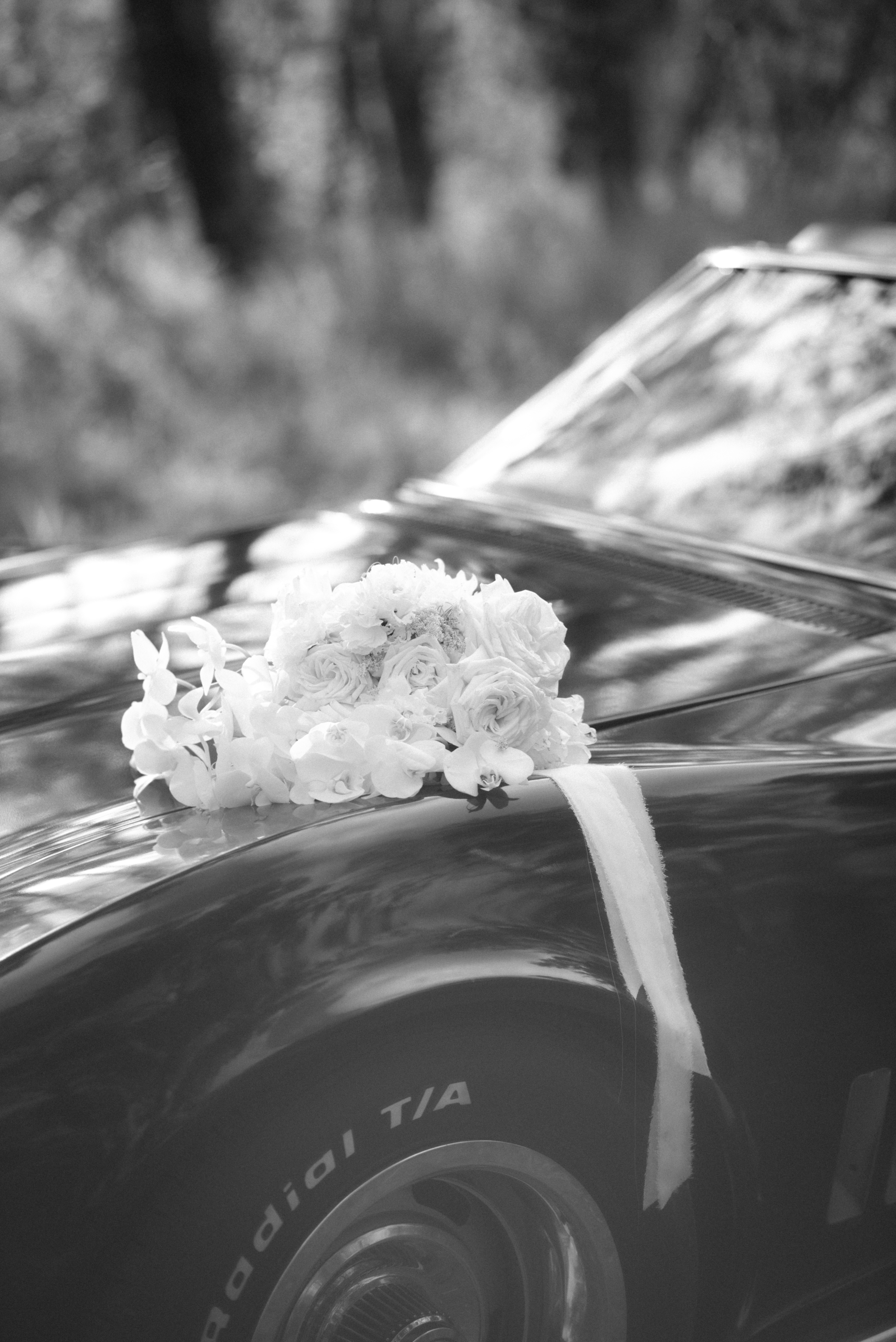 Madison Marie - Photographers - Saskatoon, Vancouver Island (photo 9)