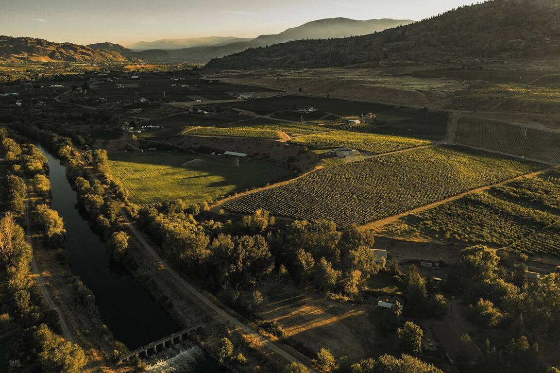 Church & State Wines