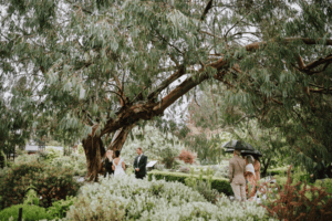The Gardens at HCP