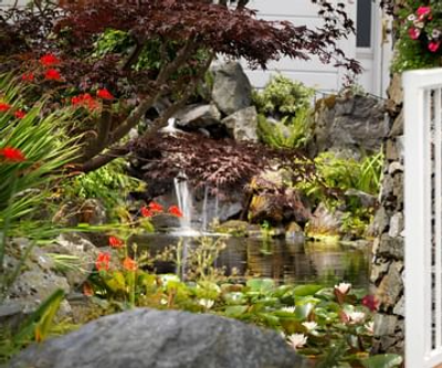 Pendray Inn & Tea House